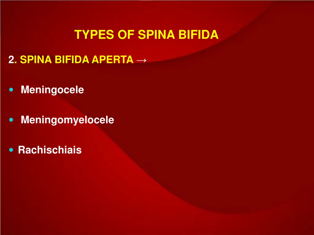 types of spina bifida 1