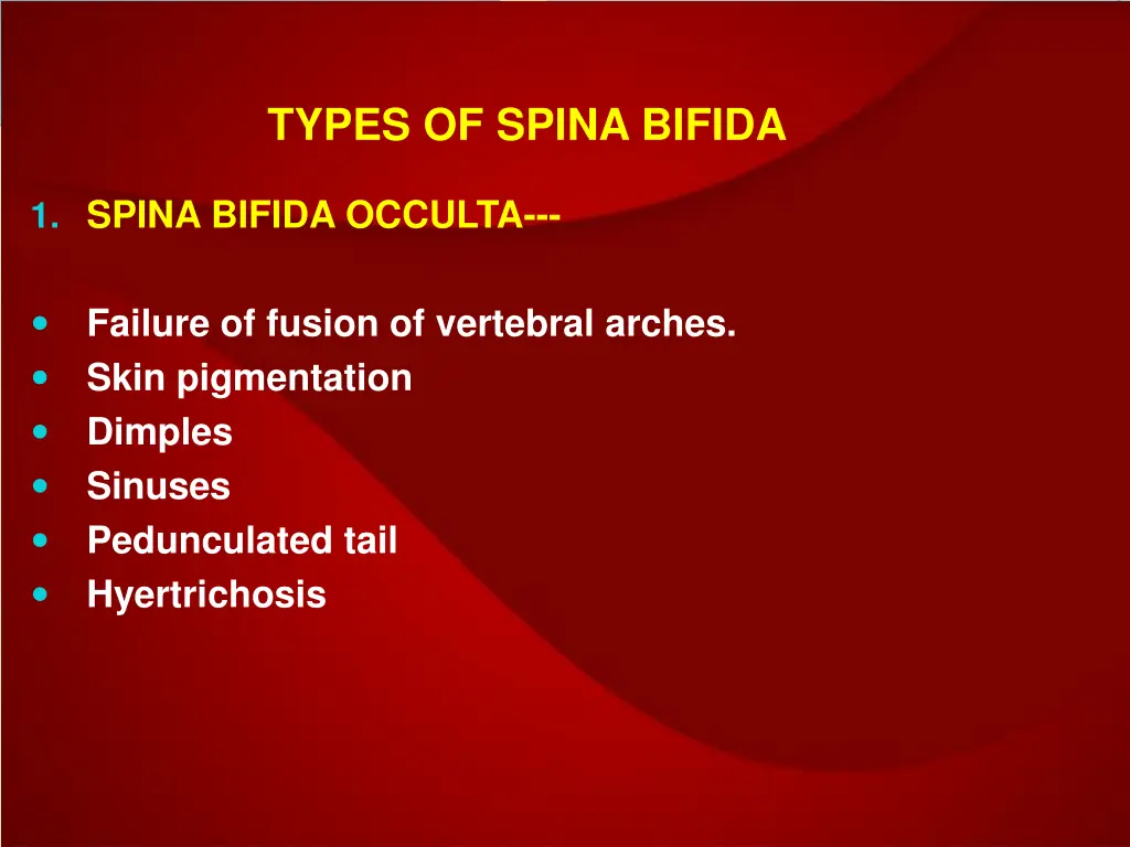 types of spina bifida