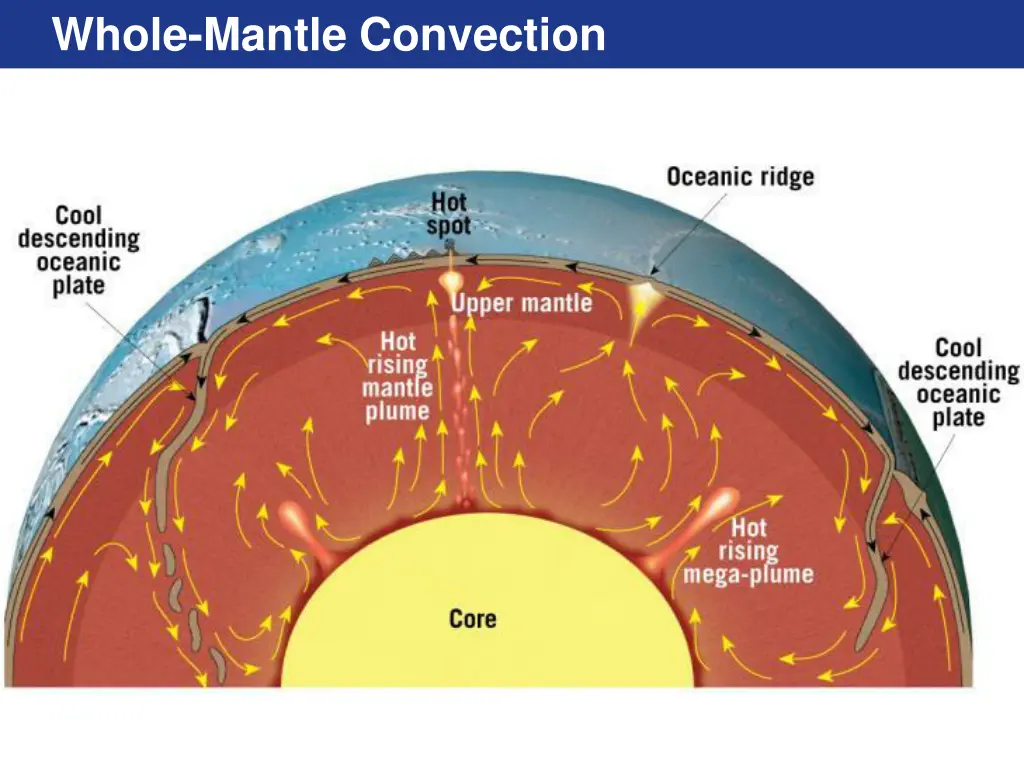 whole mantle convection