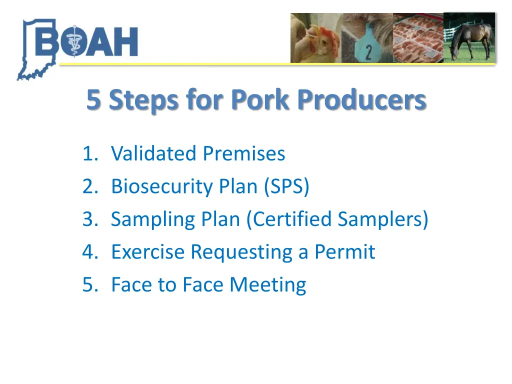 5 steps for pork producers