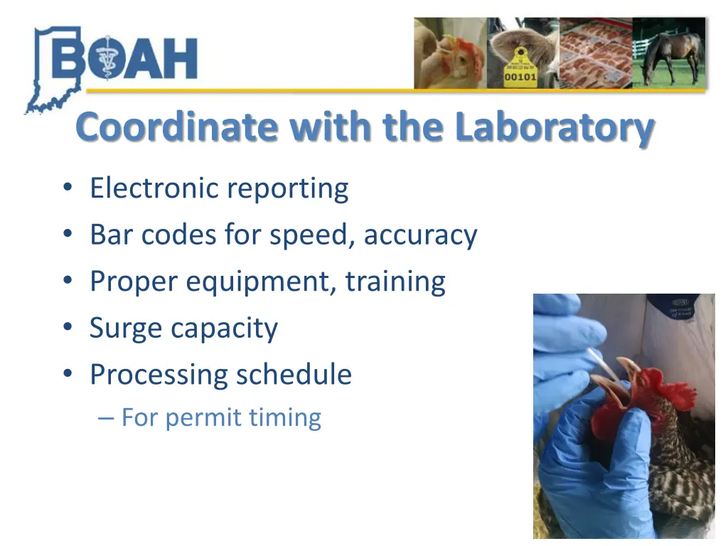 coordinate with the laboratory