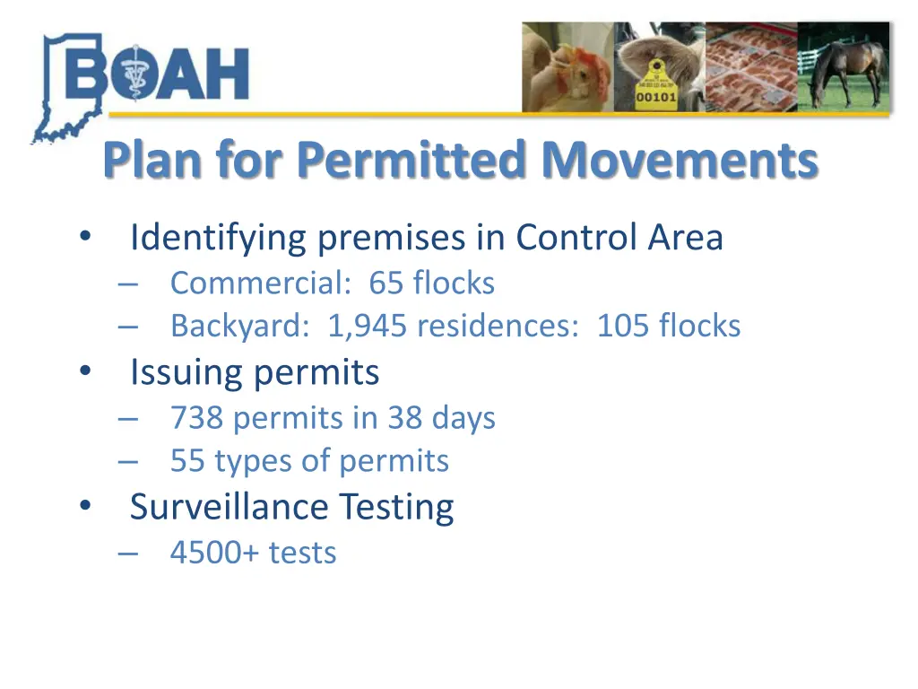 plan for permitted movements