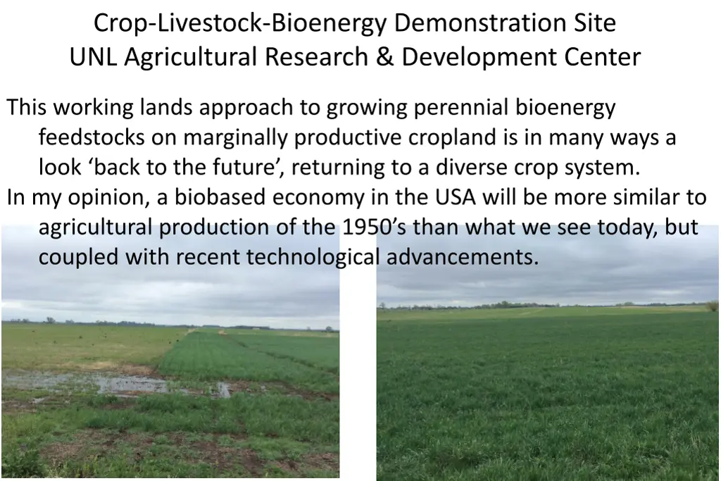 crop livestock bioenergy demonstration site