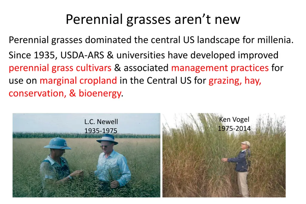 perennial grasses aren t new