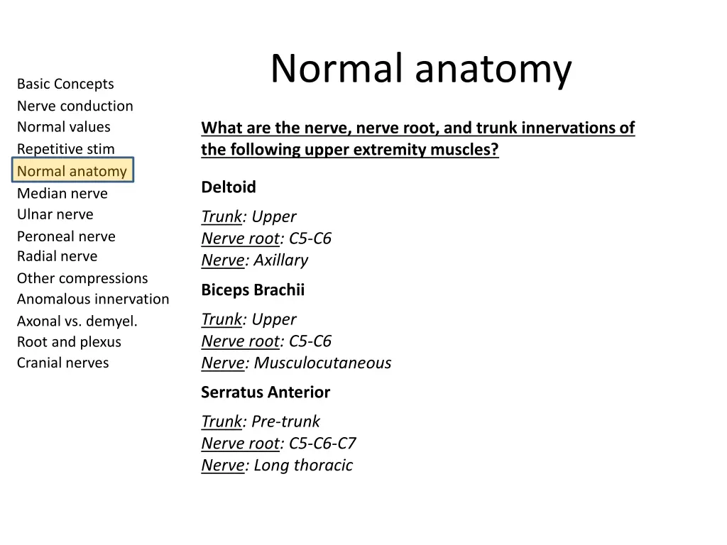 normal anatomy 1