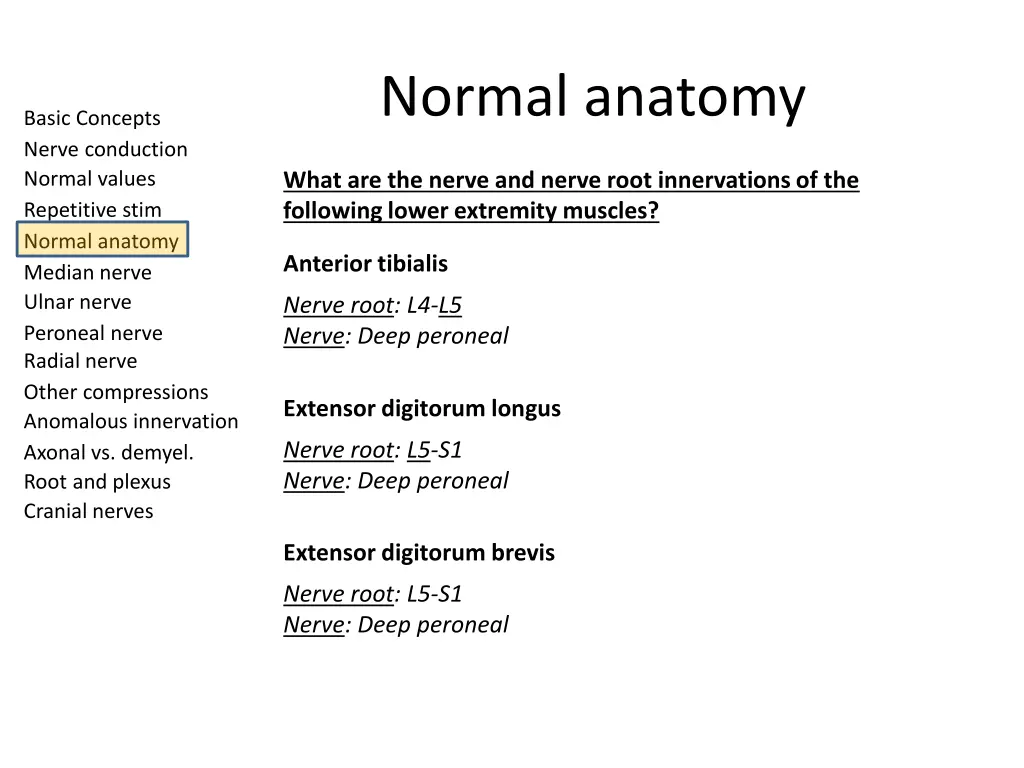 normal anatomy 10