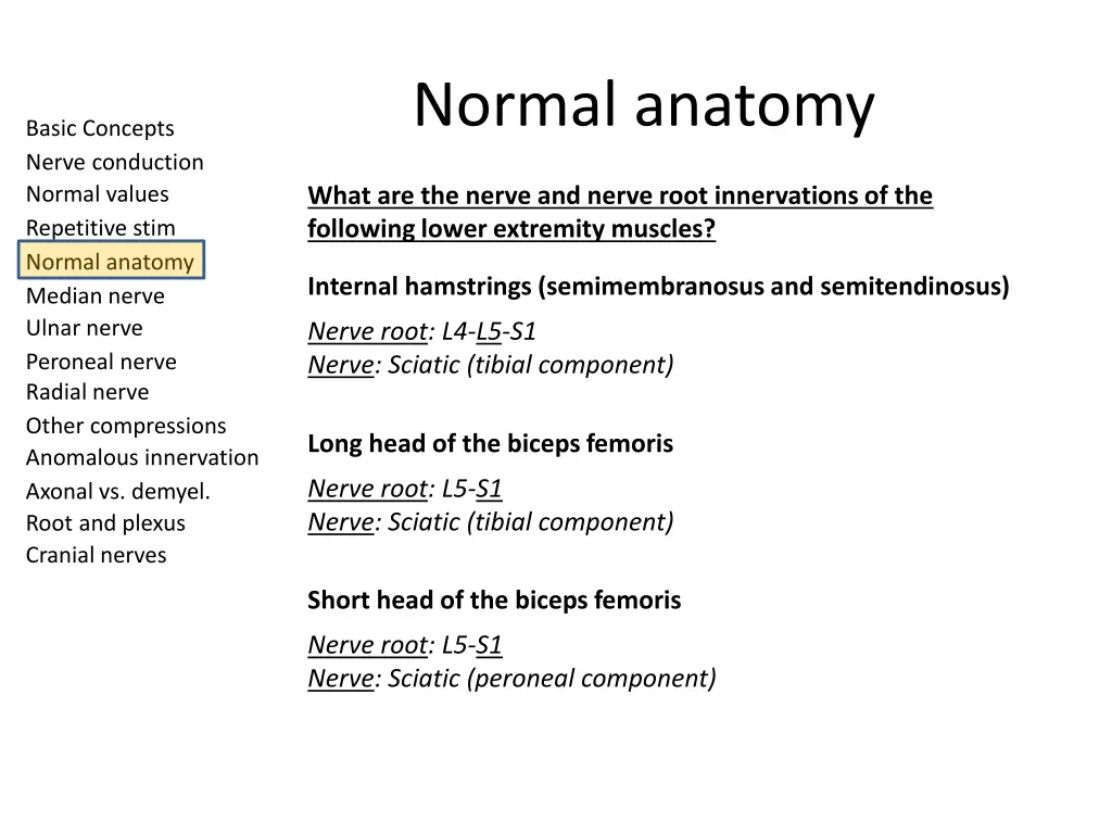 normal anatomy 11