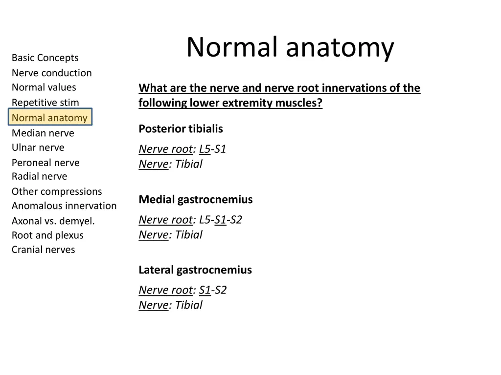 normal anatomy 12