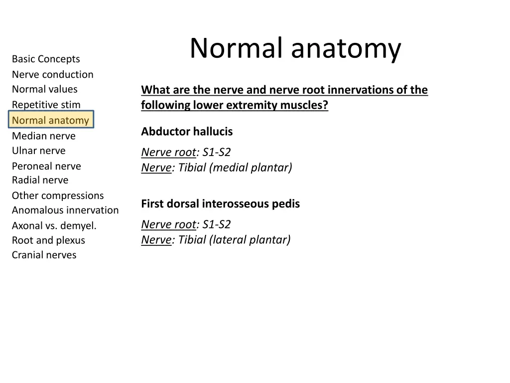 normal anatomy 13