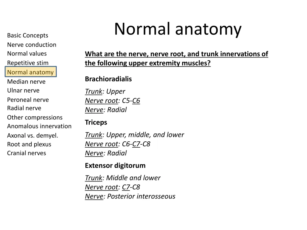 normal anatomy 2