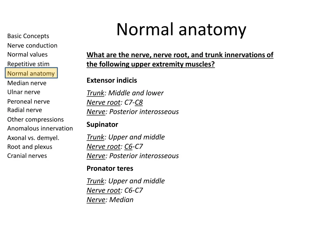 normal anatomy 3