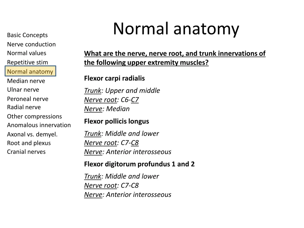 normal anatomy 4