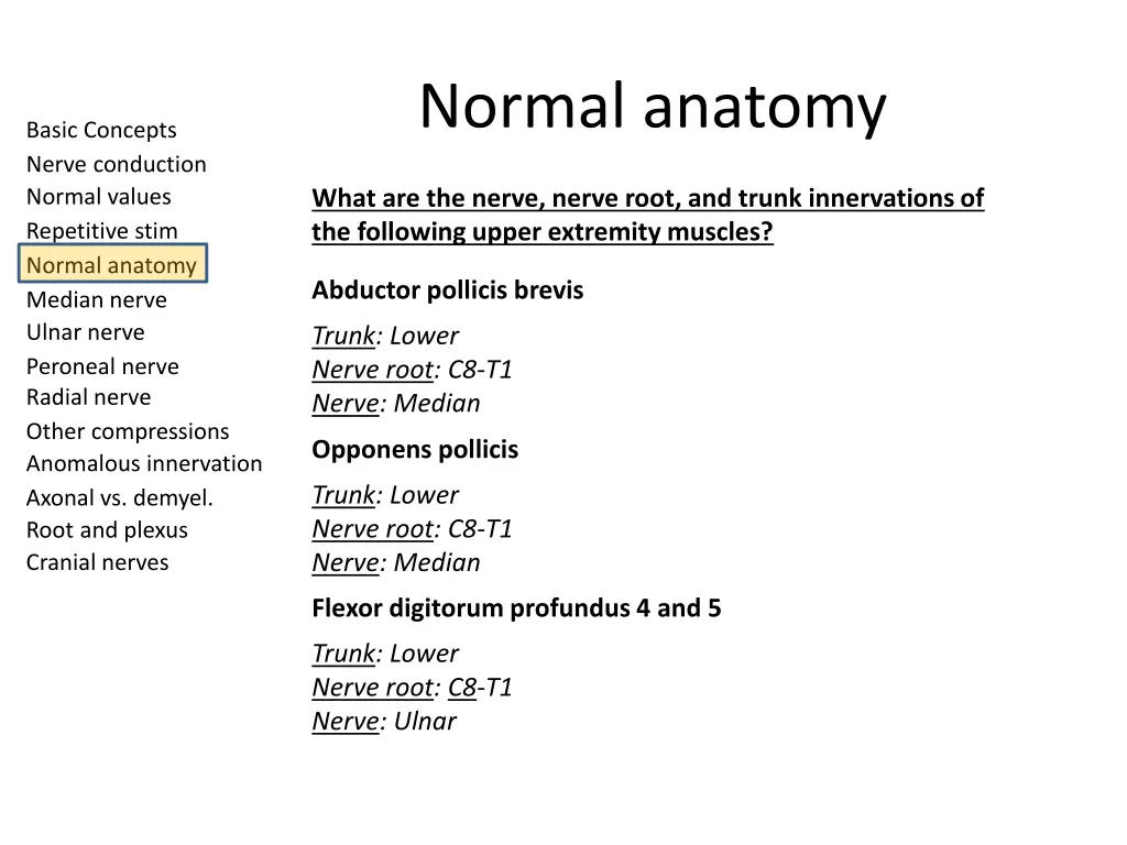 normal anatomy 5