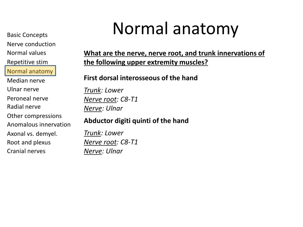 normal anatomy 6