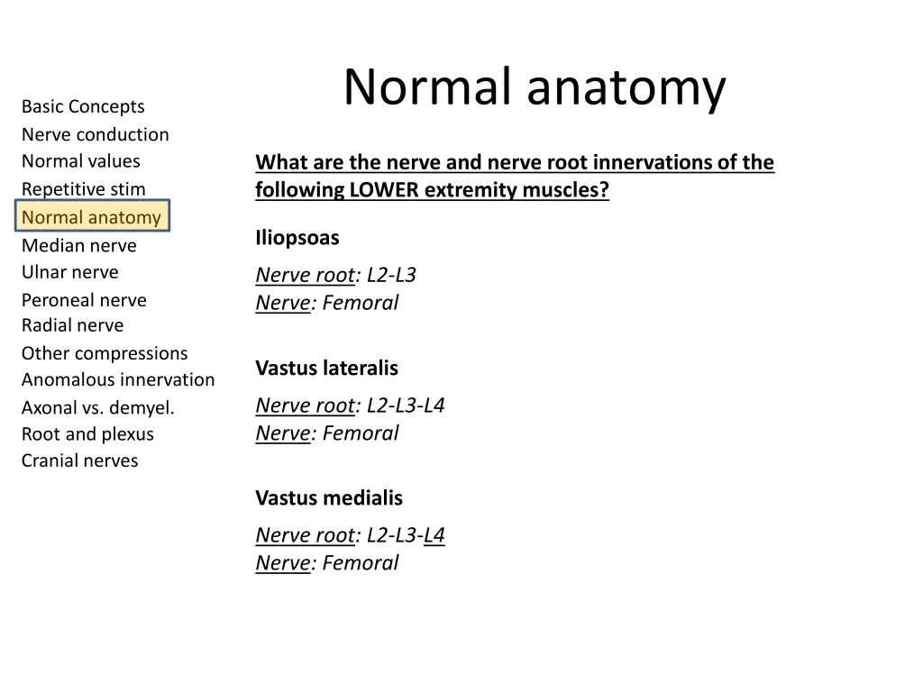 normal anatomy 8