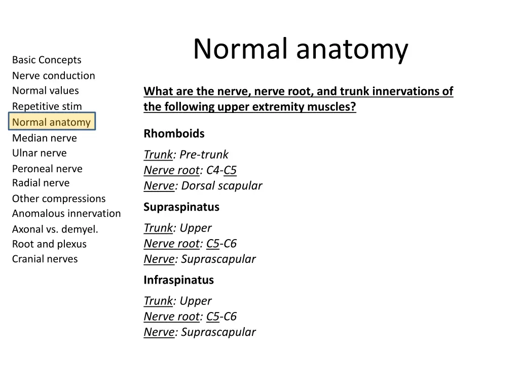 normal anatomy