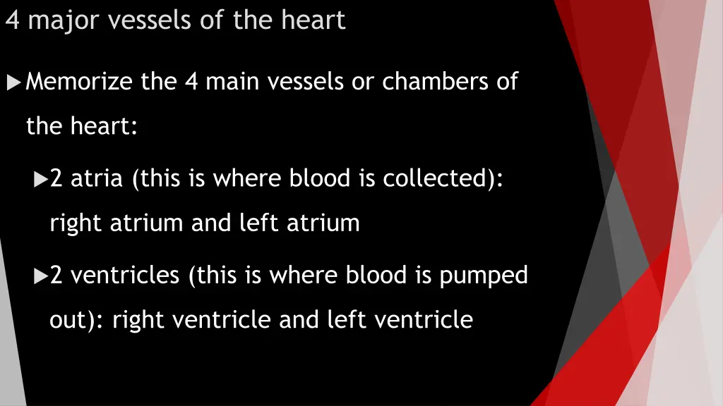 4 major vessels of the heart