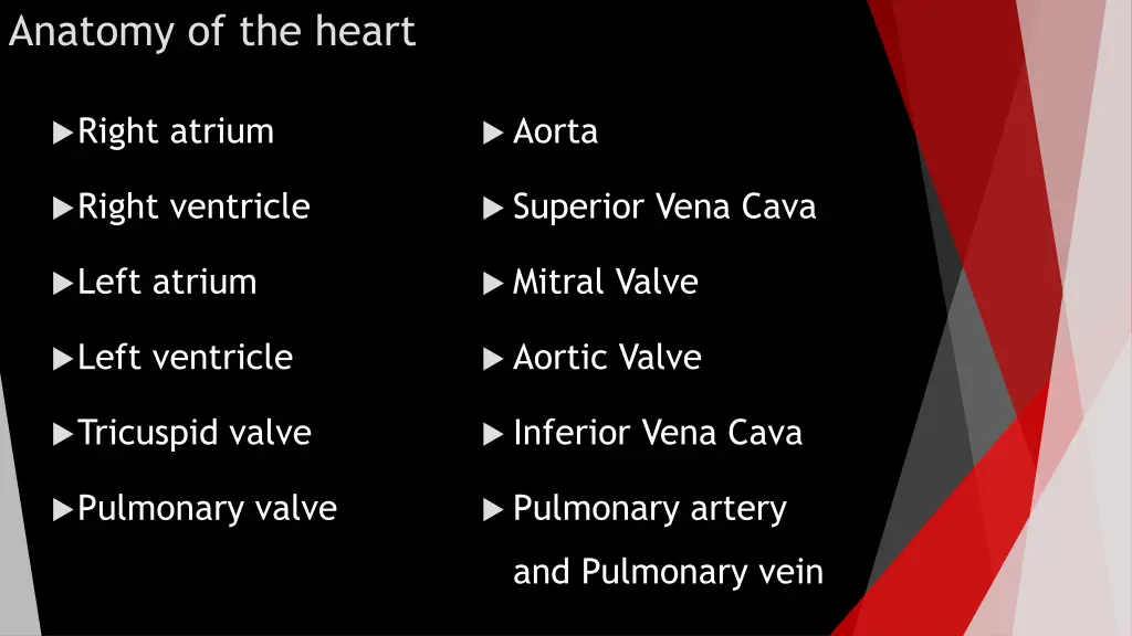 anatomy of the heart