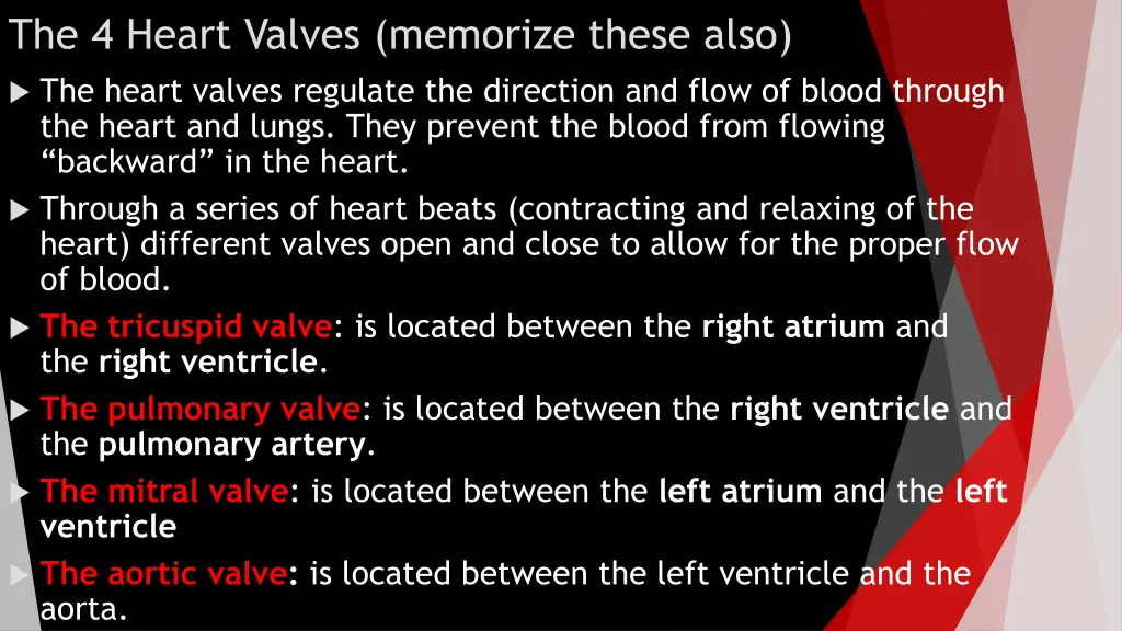 the 4 heart valves memorize these also the heart