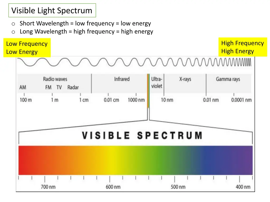 visible light spectrum