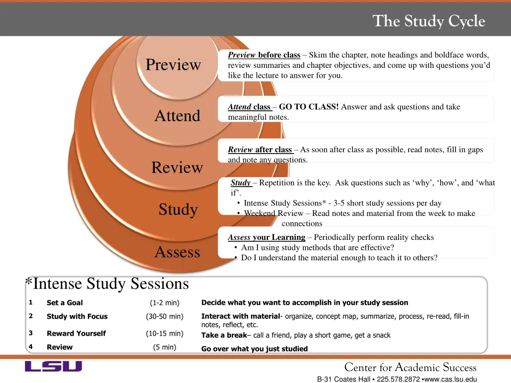 the study cycle