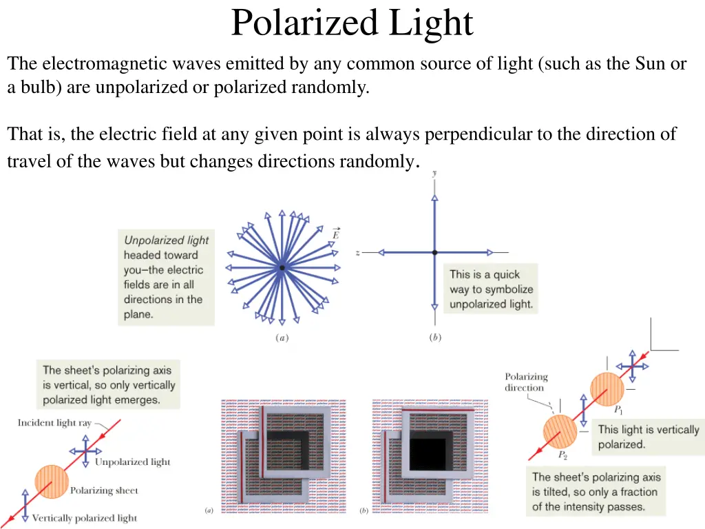 polarized light