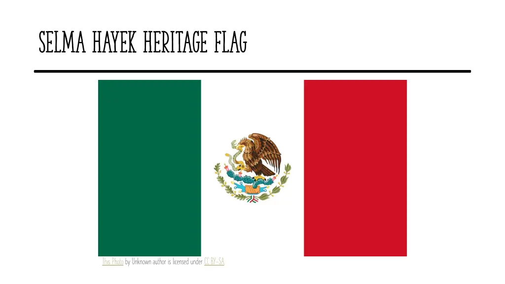 selma hayek heritage flag