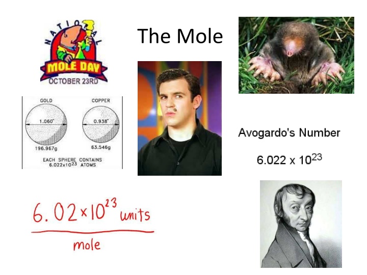 the mole