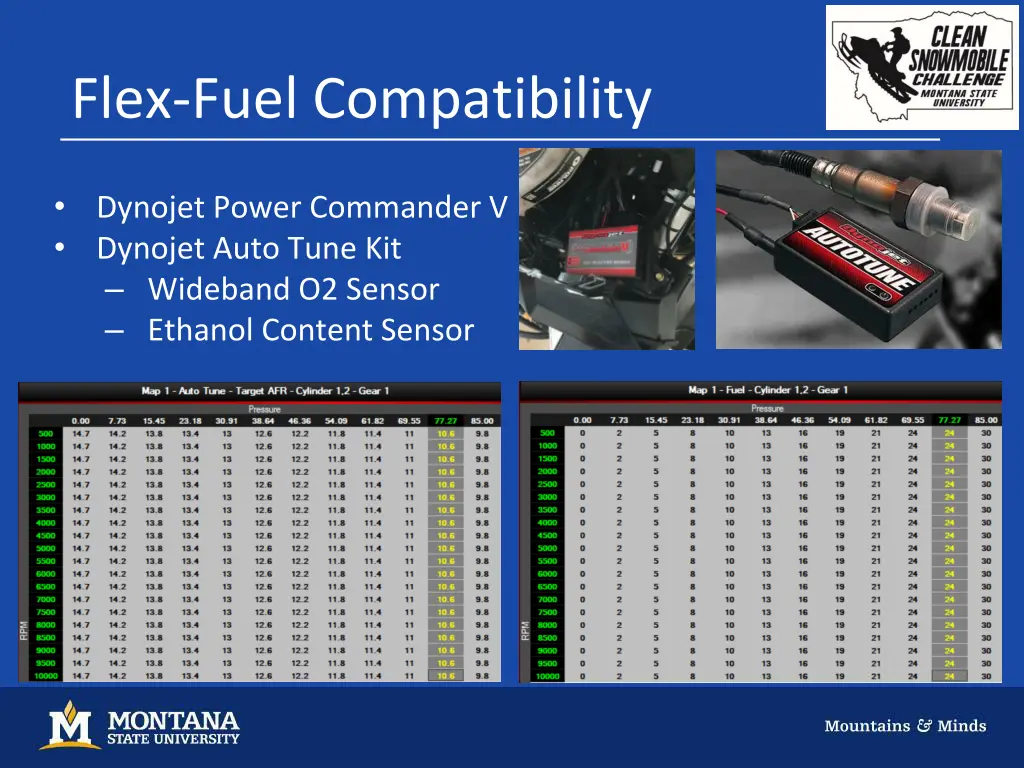 flex fuel compatibility