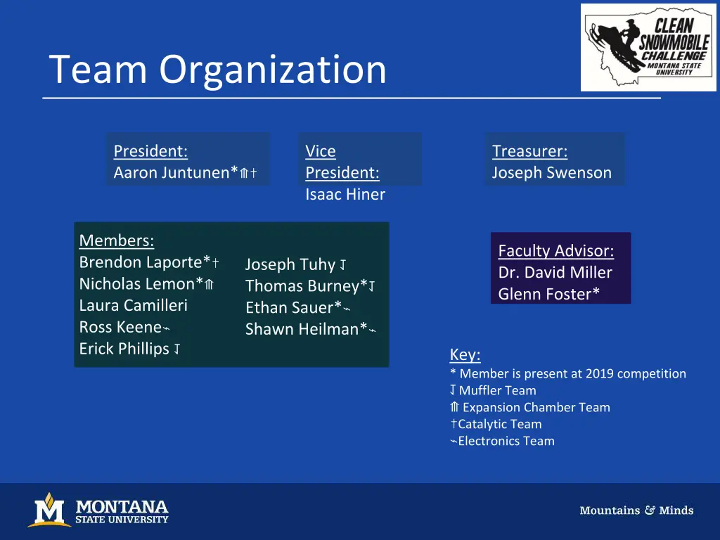 team organization