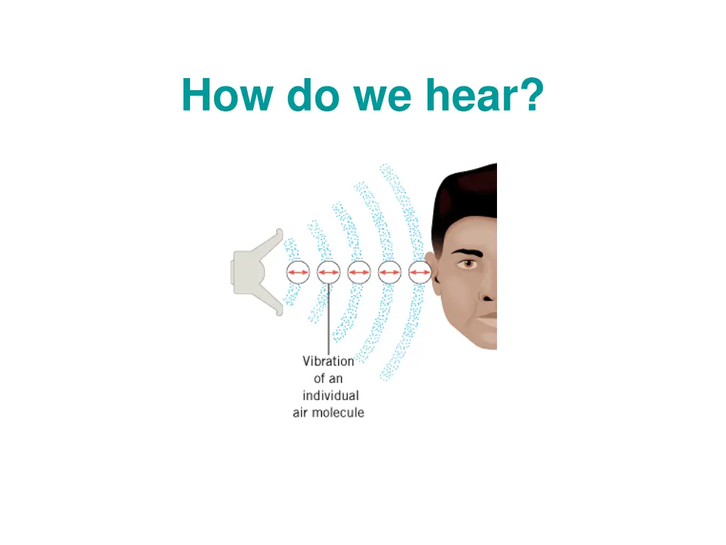 how do we hear