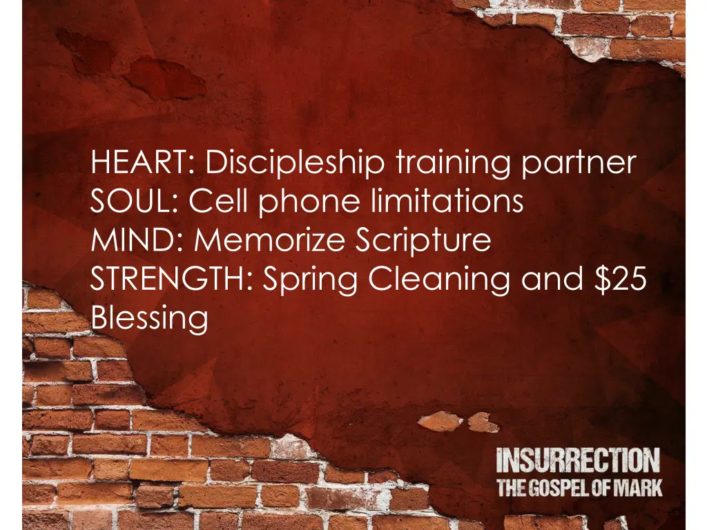 heart discipleship training partner soul cell