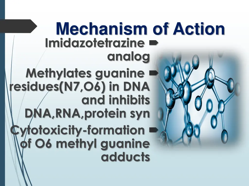 mechanism of action imidazotetrazine analog