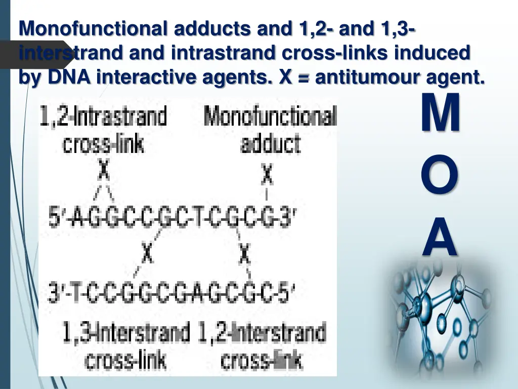 monofunctional adducts