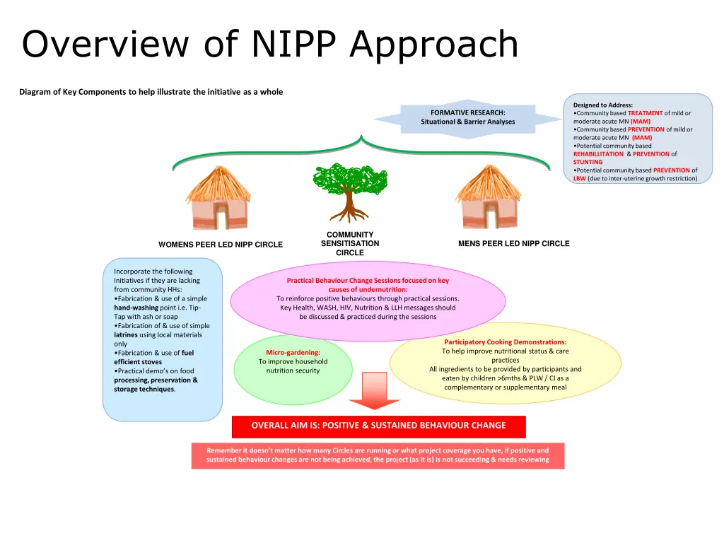 overview of nipp approach