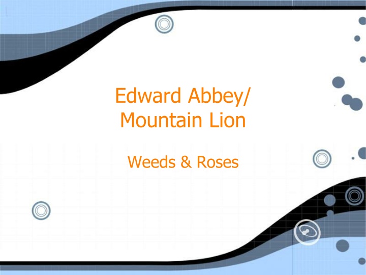 edward abbey mountain lion