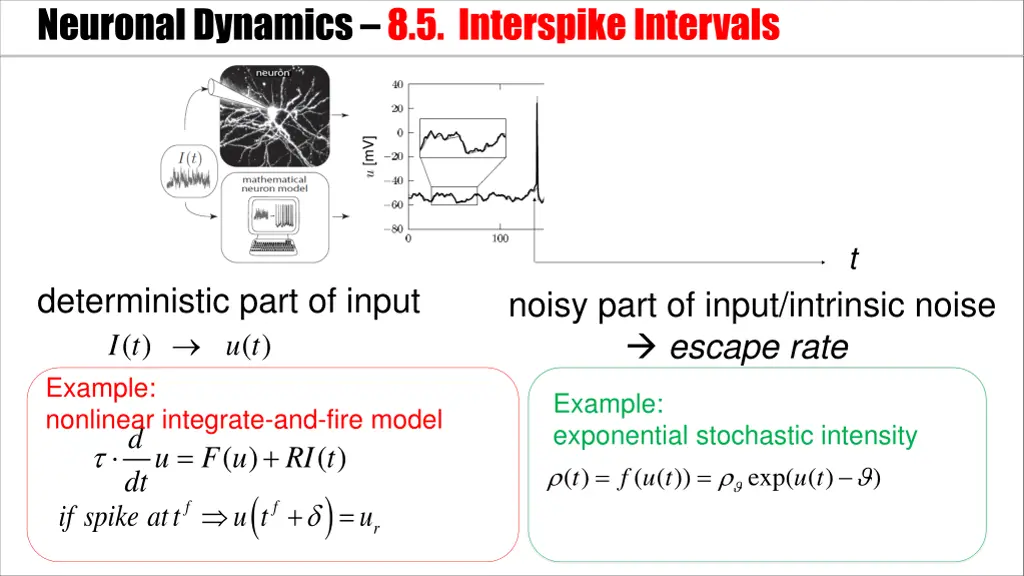 neuronal dynamics 8 5 interspikeintervals