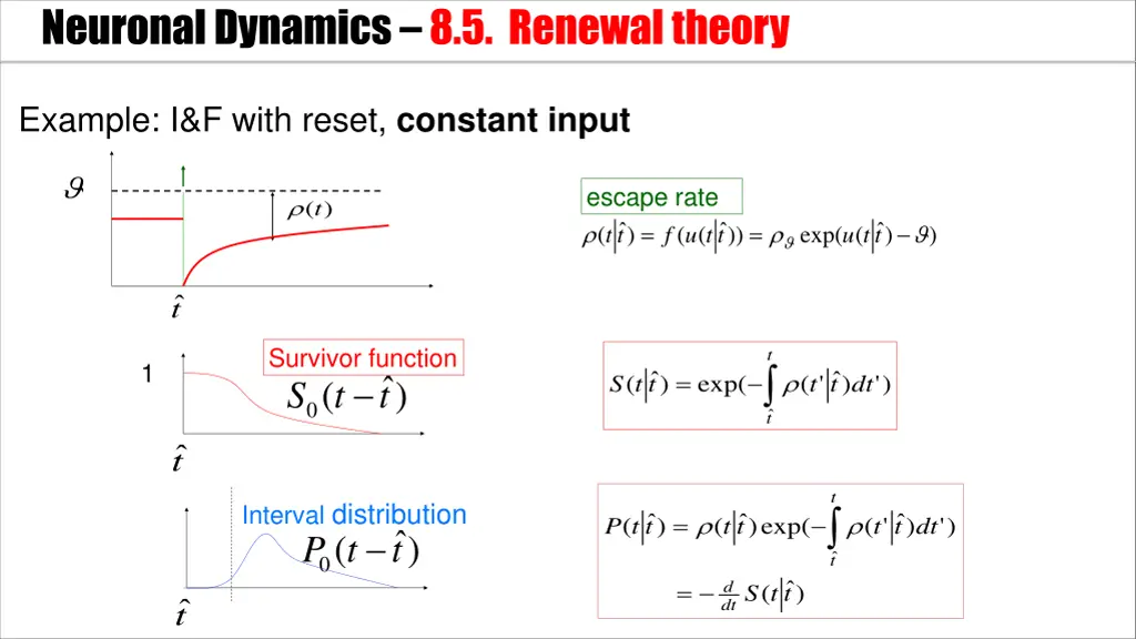 neuronal dynamics 8 5 renewal theory