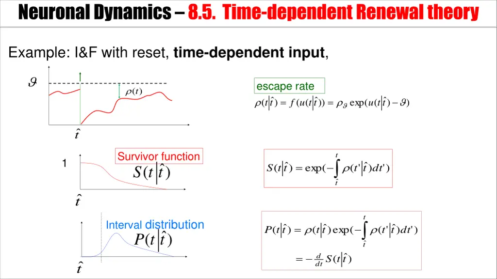 neuronal dynamics 8 5 time dependent renewal