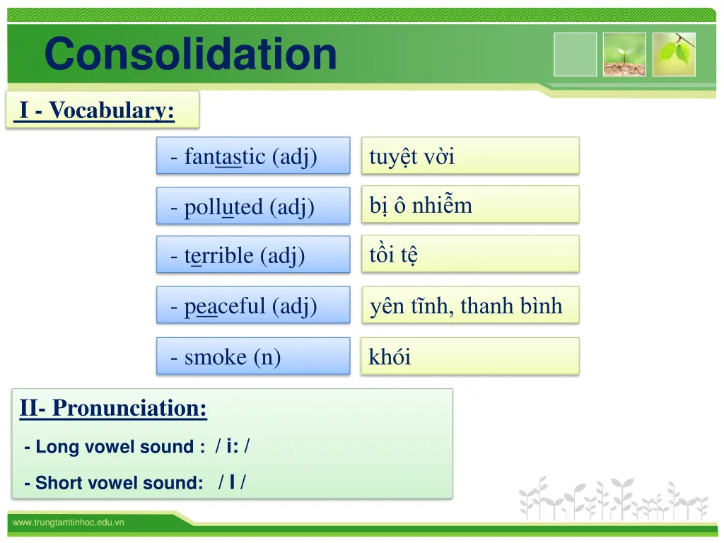 consolidation