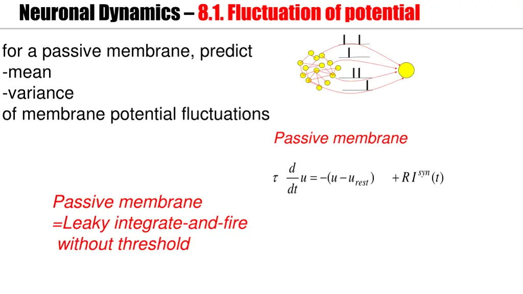 neuronal dynamics 8 1 fluctuation of potential