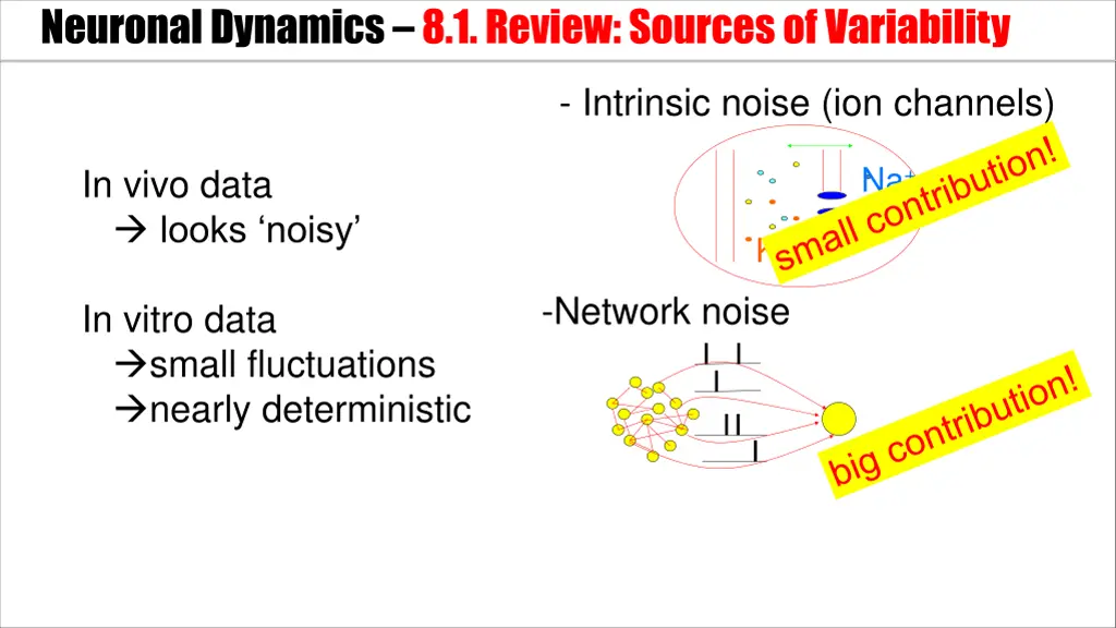 neuronal dynamics 8 1 review sources 1