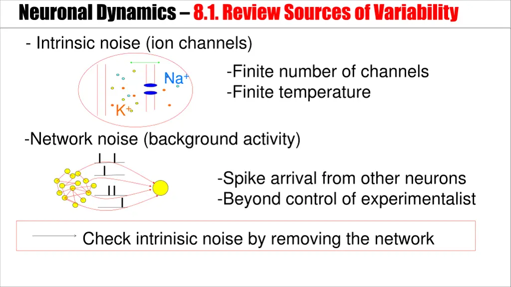 neuronal dynamics 8 1 review sources