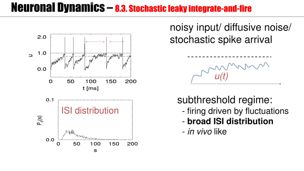 neuronal dynamics 8 3 stochastic leaky integrate