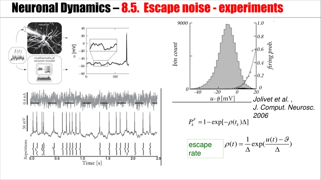 neuronal dynamics 8 5 escape noise experiments