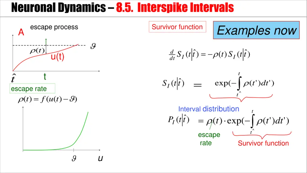 neuronal dynamics 8 5 interspikeintervals 1