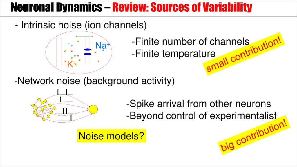 neuronal dynamics review sources of variability