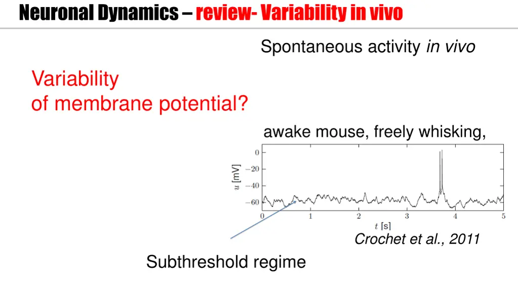 neuronal dynamics review variability in vivo