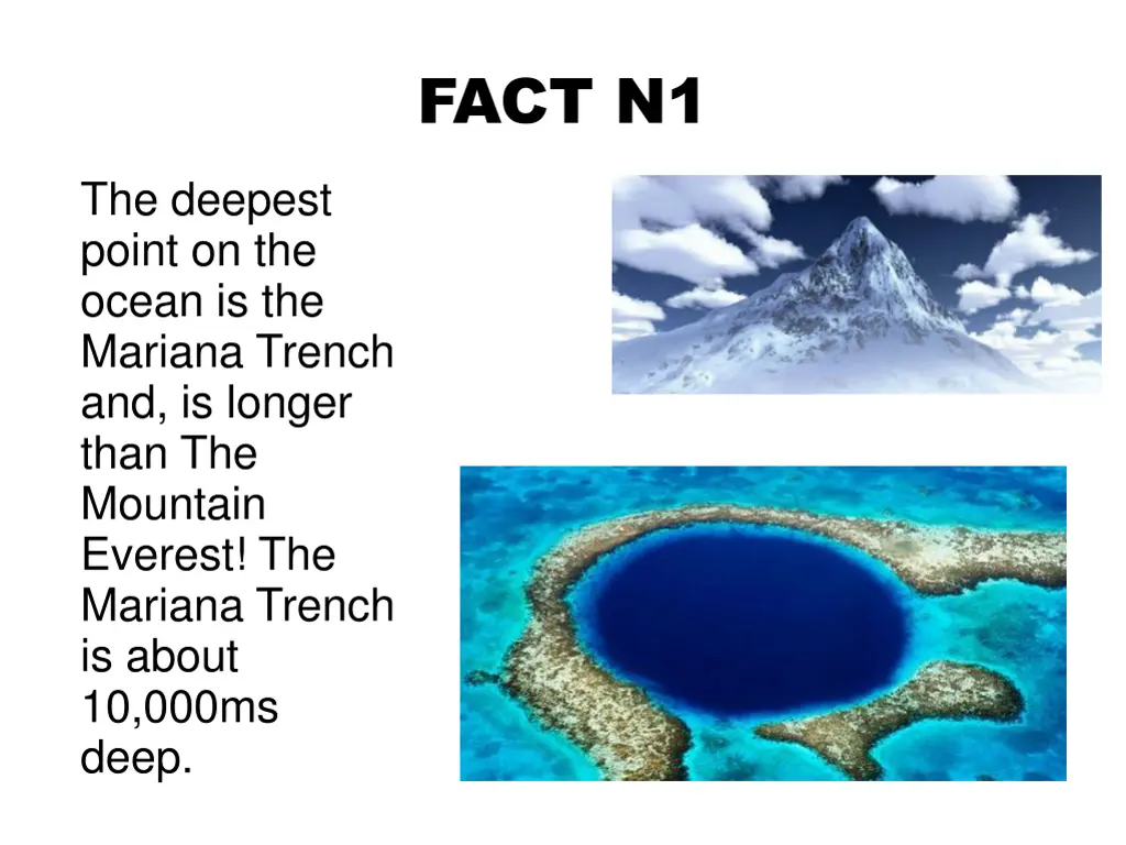 fact n1