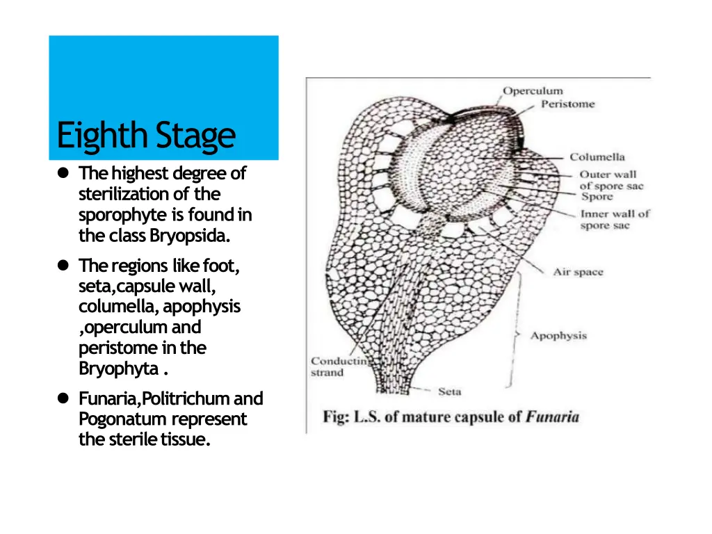 eighthstage the highest degree of sterilization